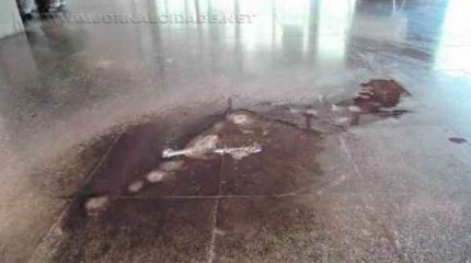 Fezes de pombos em frente a um das portas do teatro; em função das chuvas dos últimos dias, o gotejamento em diferentes pontos do salão de entrada do prédio está mais evidente