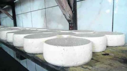 Vigilância Sanitária e o SIM têm realizado constante fiscalização nos estabelecimentos