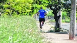 MATO ALTO: frequentadores e moradores reclamam da situação, mas a prefeitura municipal rebate as críticas recebidas