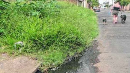 Terreno na M-29, Jardim Floridiana