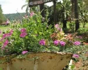 “Acreditamos que a conscientização ambiental é que pode proporcional um novo futuro para eles mesmos”, Diógenes Simões