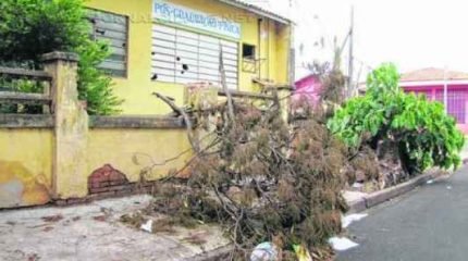SITUAÇÃO DE RISCO: além do abandono do prédio, quedas de galhos inquietam vizinhos