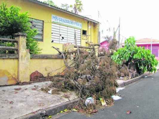 SITUAÇÃO DE RISCO: além do abandono do prédio, quedas de galhos inquietam vizinhos
