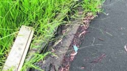 Foto enviada pela leitora Tatiane Basconi mostra galho demarcando o vazamento de água