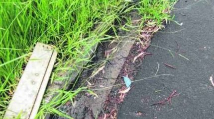 Foto enviada pela leitora Tatiane Basconi mostra galho demarcando o vazamento de água