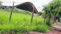 Mato alto em terreno da Escola Elpídio Mina no bairro Bela Vista. Prefeitura disse que está fazendo manutenção nas escolas
