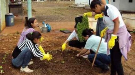 Aulas disponíveis são de confeitaria e culinária, horta, dança, zumba e Hip Hop