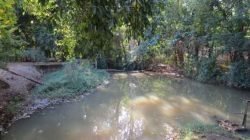 Córrego de Santa Gertrudes abastece o município, que conseguiu reduzir o consumo e as perdas de água tratada
