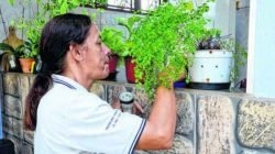 O município já contabiliza mais de 13 mil casos de dengue notificados pela Vigilância Epidemiológica