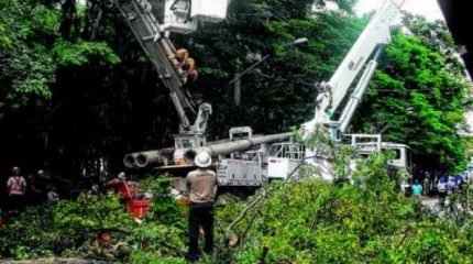 Árvore caiu no Jardim Público na madrugada de quarta-feira (18) sobre a rede de energia