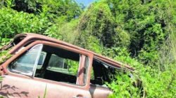 Área de Preservação Permanente no Jardim Guanabara I está ameaçada com o avanço da urbanização. Na imagem, carros foram abandonados no espaço que deveria ser conservado pelo poder público