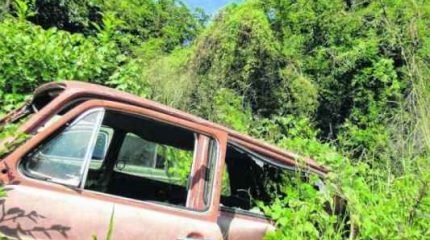Área de Preservação Permanente no Jardim Guanabara I está ameaçada com o avanço da urbanização. Na imagem, carros foram abandonados no espaço que deveria ser conservado pelo poder público