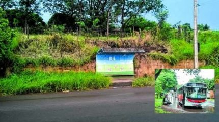 Pontos de ônibus com mato e alagados em dias de chuva dificultam a rotina de quem depende do transporte coletivo