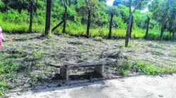 Foto enviada pelo leitor Rogério, mostra limpeza da praça realizada nessa terça-feira