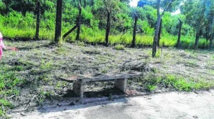 Foto enviada pelo leitor Rogério, mostra limpeza da praça realizada nessa terça-feira