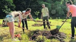 Novo mutirão de replantio na Feena ocorre nas manhãs de sábado (7) e de domingo (8). Ação está recrutando voluntários