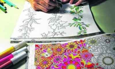 Com desenhos refinados, os livros pedem atenção e dedicação daqueles que colorem as ilustrações com motivos diversos (Imagem: reprodução)