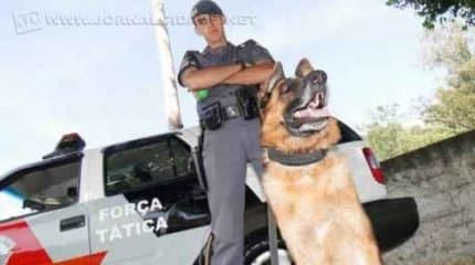 Soldado Taglietti é um dos integrantes da equipe do canil da Polícia Militar de Rio Claro. Junto ao pastor