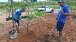 Projeto para recuperação ambiental de área no bairro Mãe Preta