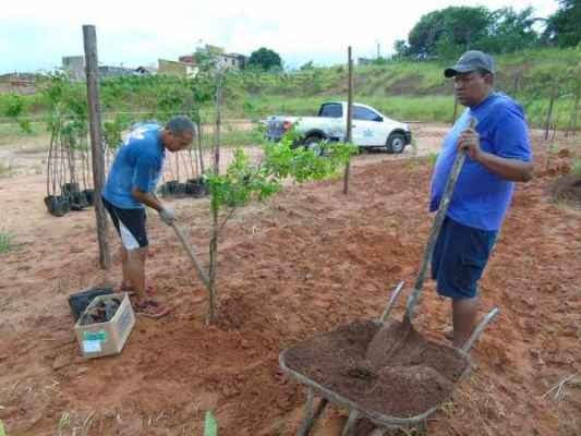 Projeto para recuperação ambiental de área no bairro Mãe Preta