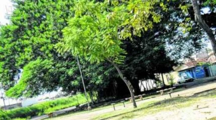 Praça Vereador Silas Bianchini está limpa e com mato cortado, mas tem bancos quebrados