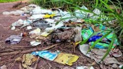 SUJEIRA POR TODOS OS LADOS: lixo e entulho em uma das entradas da Floresta Estadual ameaçam o rio Ribeirão Claro