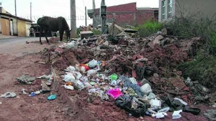 LIXO: acúmulo de resíduos próximo aos imóveis e mato alto compõem atualmente o cenário do Residencial Santa Lúcia