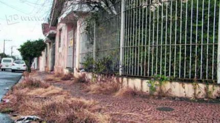 Leitora denuncia casa na Rua 5-B sem manutenção do proprietário e cobra ação dos agentes da dengue na residência