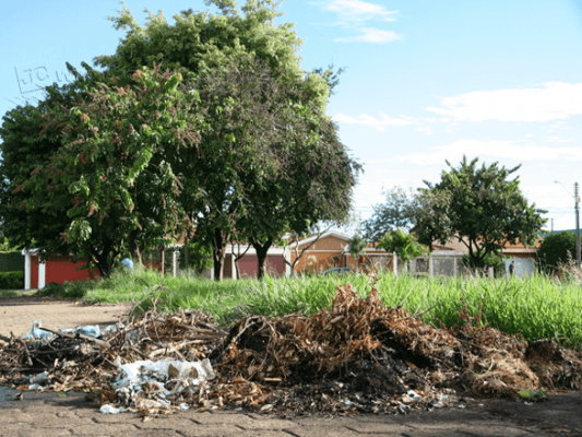 Acúmulo de resíduos em alguns trechos da praça no Jardim América. Moradores pedem mais manutenção
