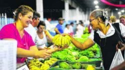 A central manipula e distribui 10 toneladas de alimentos por semana, abrangendo verduras, legumes e frutas, além de ovos