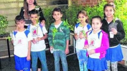 Planta pode ajudar no combate à dengue, pois suas flores atraem a libélula, que é predadora natural do Aedes aegypti