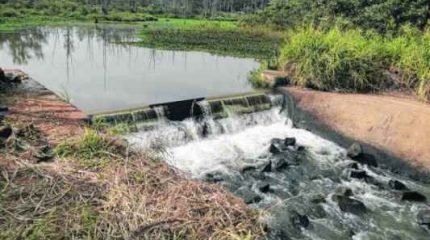 Ponto de captação de água do Ribeirão Claro dentro da Floresta