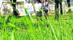 INSEGURANÇA: alunos da Unesp denunciam falta de segurança no campus da universidade e na região do Bela Vista