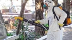 Houve mutirão de limpeza na sexta-feira e sábado passados, inclusive com nebulização de toda a área