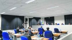 Os vereadores também criaram o “Dia Municipal da Soltura de Pipa”. Confira a repercussão: