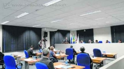 Os vereadores também criaram o “Dia Municipal da Soltura de Pipa”. Confira a repercussão: