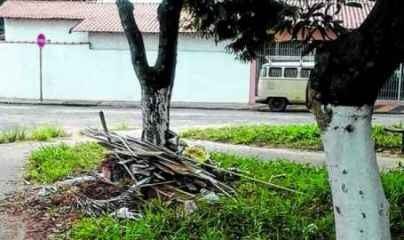 Restos de material de construção e podas de árvores são despejados no espaço público