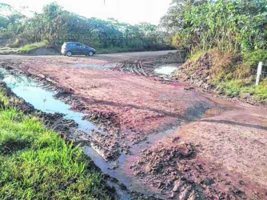 Água para gera lama e mau cheiro na Avenida 7, entre as ruas 2 e 3, no Novo Jardim Wenzel