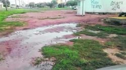 Leitor fez denúncia de desperdício de água via WhatsApp da Redação do JC (9.9942-4100)