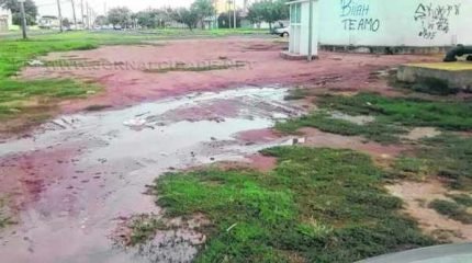 Leitor fez denúncia de desperdício de água via WhatsApp da Redação do JC (9.9942-4100)