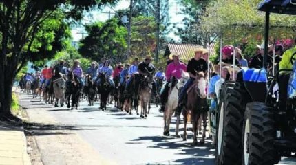 Até o momento, dois animais foram sacrificados na cidade de Analândia e o trânsito de equídeos na região do Morro do Cuscuzeiro está proibido