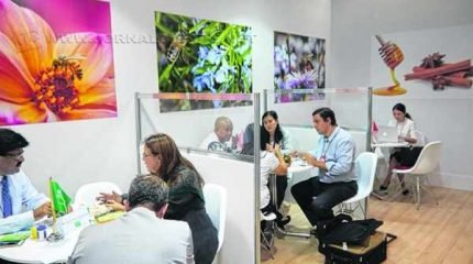 Uma rodada de negócios reuniu nove compradores estrangeiros do setor apícola e nove empresas exportadoras brasileiras (foto Jhonatan Chicaroni)