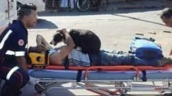 Cena comovente: cadela acompanha dono que se acidentou em Santa Gertrudes (Foto: Cristopher Mariano)