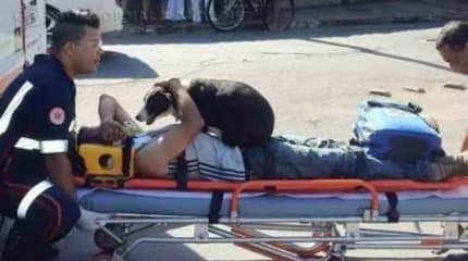 Cena comovente: cadela acompanha dono que se acidentou em Santa Gertrudes (Foto: Cristopher Mariano)