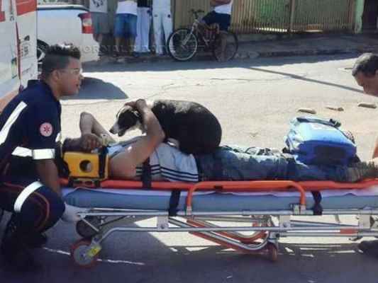 Cena comovente: cadela acompanha dono que se acidentou em Santa Gertrudes (Foto: Cristopher Mariano)