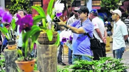 O evento conta com estandes exclusivos para a venda de orquídeas das mais variadas espécies, com preços a partir de R$ 20
