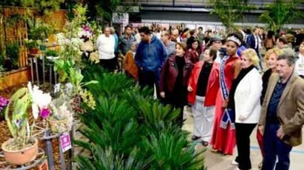 71ª edição da Exposição Nacional de Orquídeas será encerrada neste domingo (28)