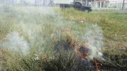 Atear fogo ao mato é crime ambiental passível de penalização com multa (foto arquivo)