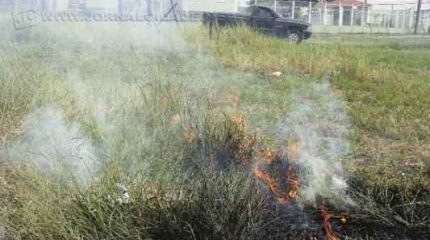 Atear fogo ao mato é crime ambiental passível de penalização com multa (foto arquivo)
