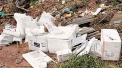 Produto de origem desconhecida é descartado em terreno na região do bairro Vila Paulista